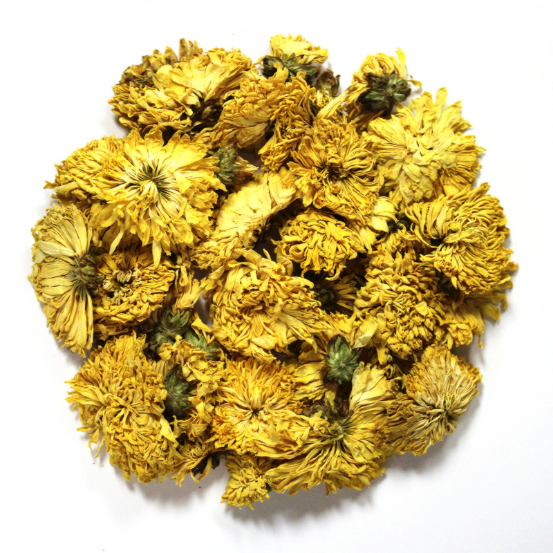 Golden Chrysanthemum Tea Championherbs Com